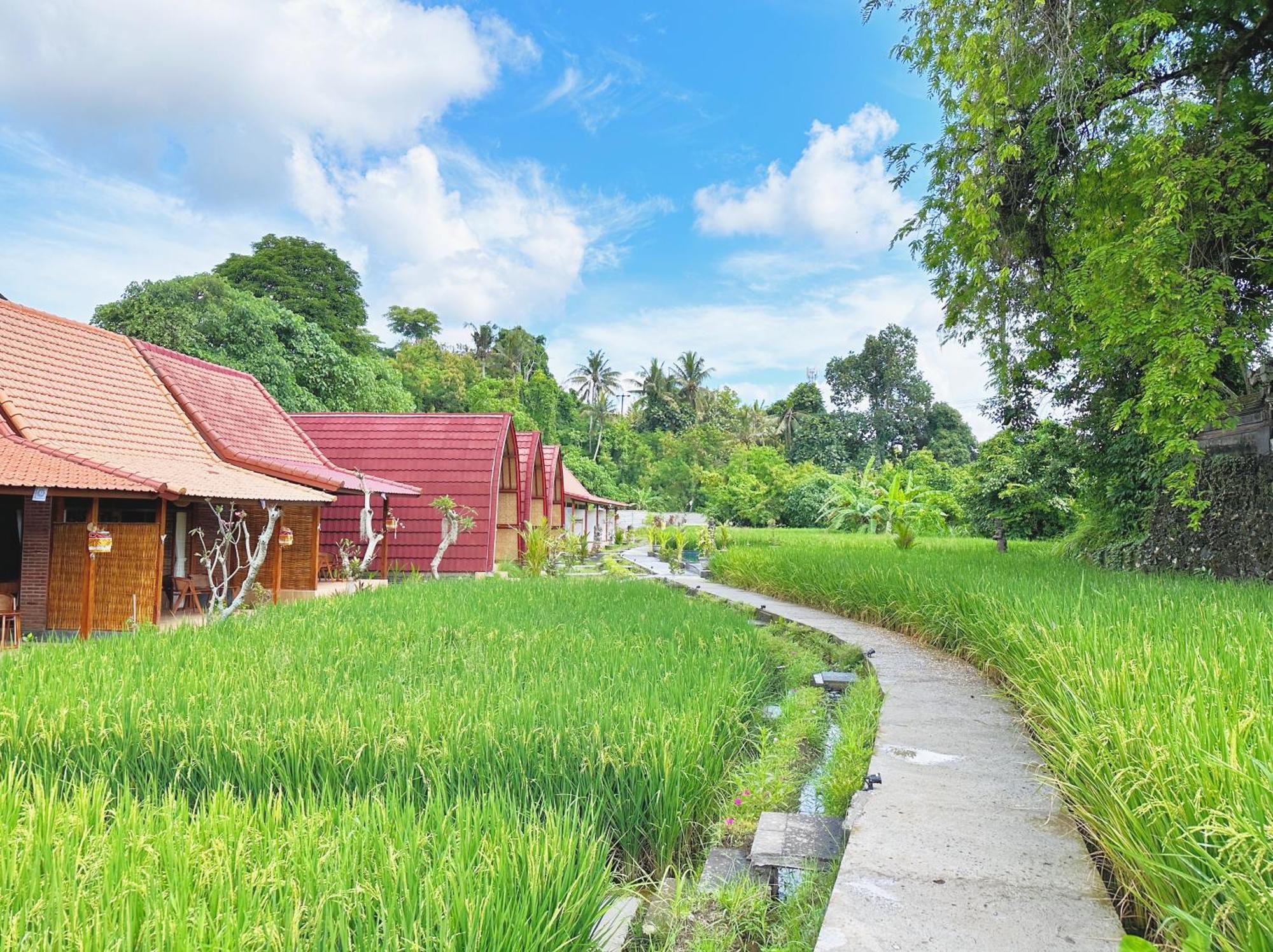 Uma Raos Cottage Ubud  Bagian luar foto